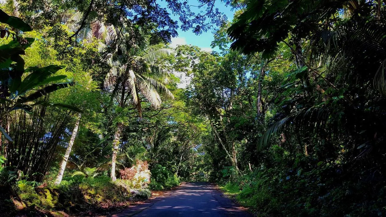 Hale O Makani Home ケアアウ
